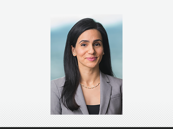 The American Bar Foundation Shayda Zaerpoor Le to the Board of