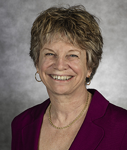 Professor Susan Bandes